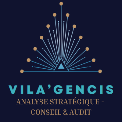 Logo de VILA’GENCIS département Consultant conseil et Audit